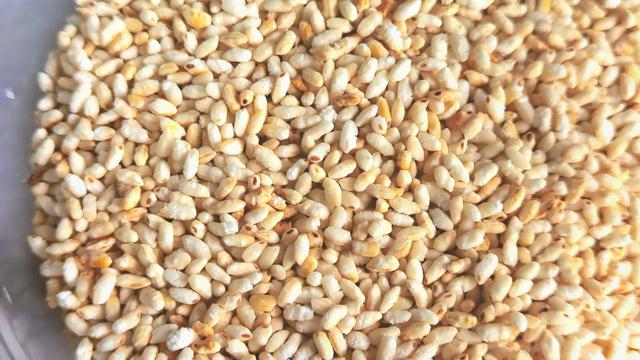 炒焦米的功效和作用，炒焦米的功效和作用是什么（焦米泡水、煮粥）