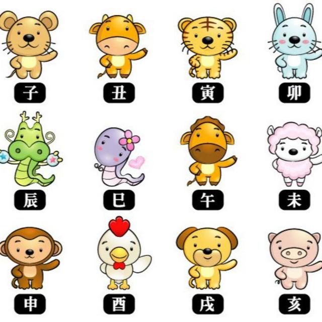 蛋什么意思解释，蛋字笔画笔顺（关于鸡和鸡蛋的一些冷知识）