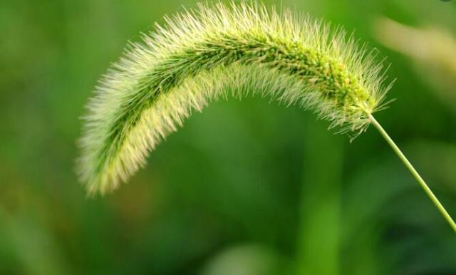 如何对付那些损人不利已的小人，对付小人有什么办法（损人不利己的这三种人）