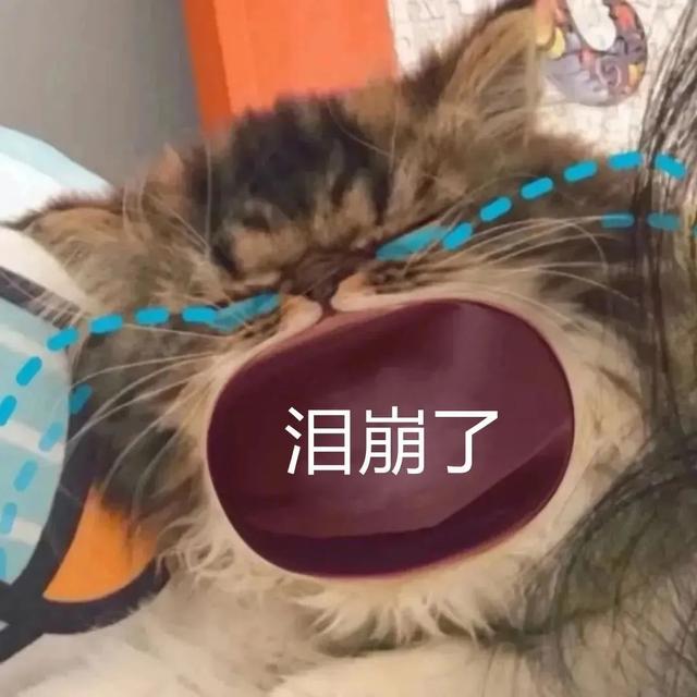 泪奔与泪崩的区别，表情包：泪崩了