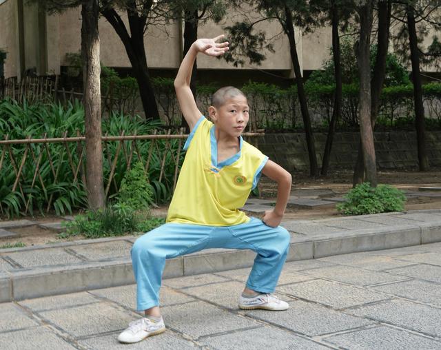 被誉为天下第一名刹的是，天下第一名刹是哪个寺庙（中国佛教禅宗和中国功夫发源地）