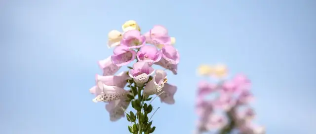 曹操著名的三句诗，曹操最著名的三首诗文