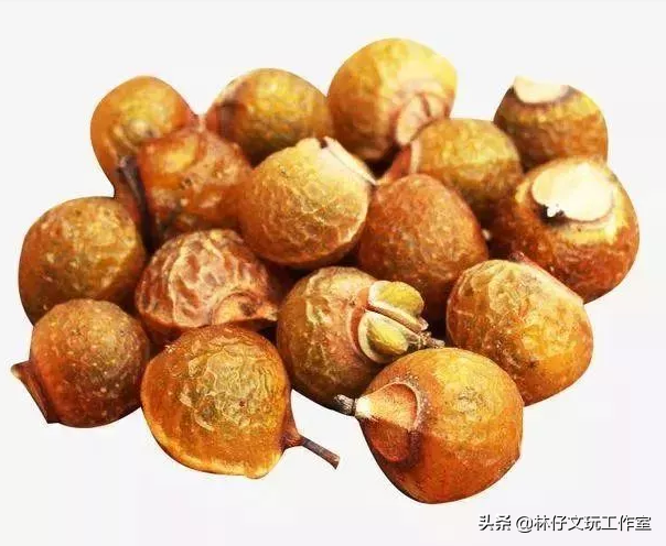 适合做手串的植物种子，适合做手串的植物种子是什么（这些路边捡的树籽儿串成手串）