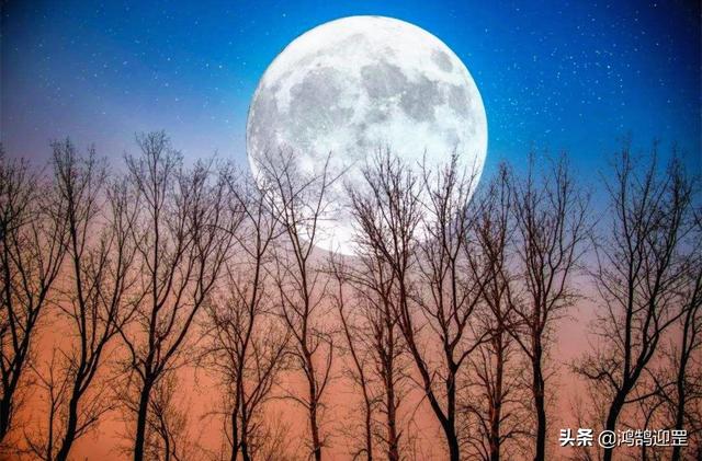 被誉为孤篇盖全唐的是哪首诗，以孤篇盖全唐是哪首诗（张若虚《春江花月夜》为何享有“孤篇压全唐”的美誉）