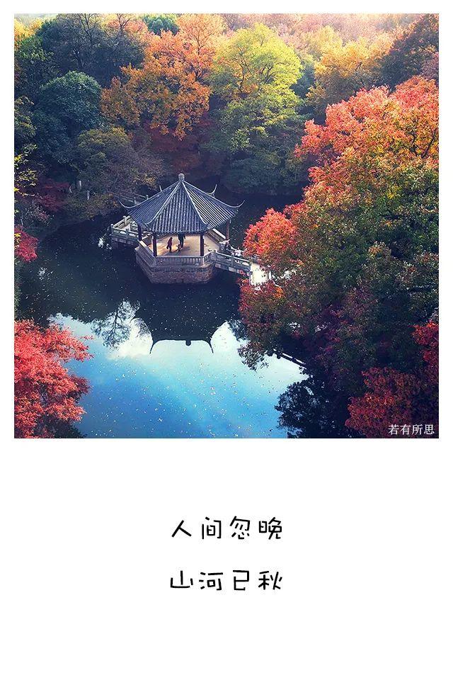 喜欢秋天的理由，我为什么喜欢秋天（秋天最像人生）