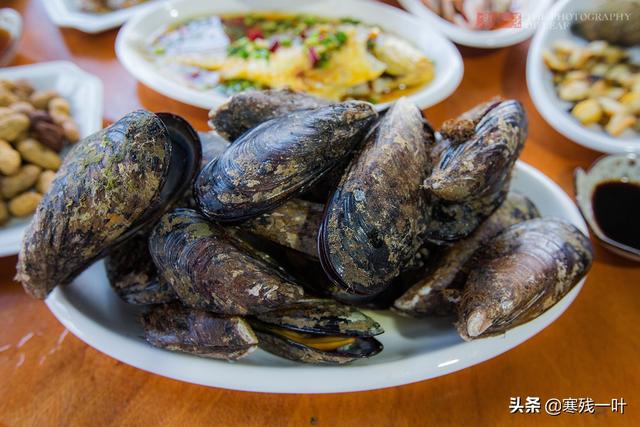 佛手螺是哪儿的特产，佛手螺最多的产地是哪里（浙江宁波渔山岛有个小渔村）