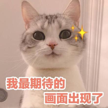 开心躲猫猫下载，开心躲猫猫下载安装（考过拿证就能领2000元奖励）