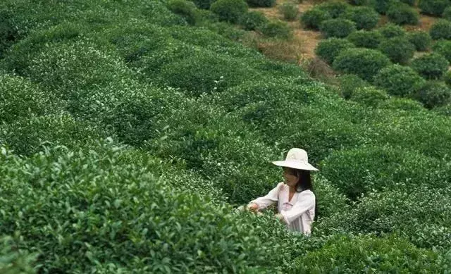 安徽淮北穷吗(淮北为什么是五线城市)