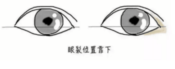 狗狗眼是下垂眼吗，教你这样画眼妆，好看又有神
