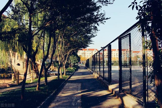 会计学专业就业方向及前景，会计专业就业方向及前景（学了的学生出路在哪里）