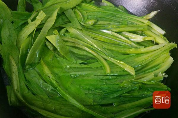 油麦菜煮多久能熟，油麦菜煮多久就熟了（油麦菜有股苦涩涩的味儿）