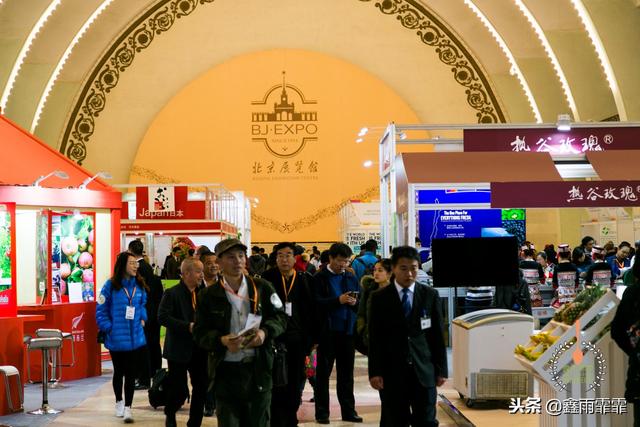 菊苣怎么读是什么意思，菊苣怎么读（这百种水果不要说吃过）