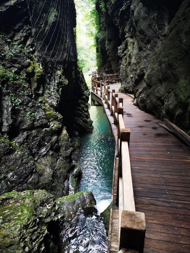 黑山谷自助游攻略最新，黑山谷攻略 自驾游（重庆黑山谷一日游最佳路线）