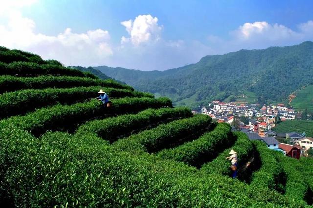 杭州西湖文化景观，西湖必去的十大景点介绍（西湖三十景，最新绝美大片亮相）