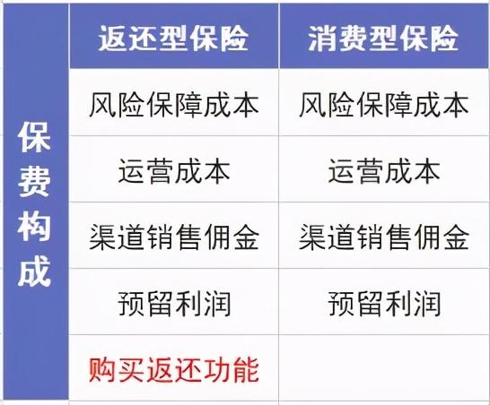 保险返点能拿多久，保险返点一般多久返（保险交20年能返钱）