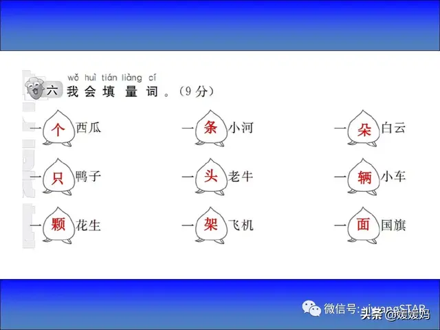 鸟字旁的字有哪些，部编版一年级语文上册期末知识点汇总附模拟卷及答案