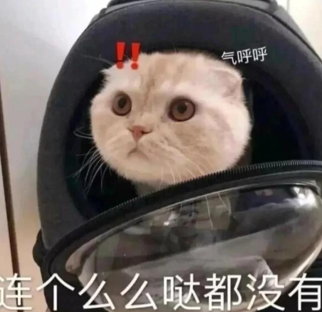 一对可爱狗狗表情包图集，情侣专用狗狗猫猫可可爱爱沙雕表情包