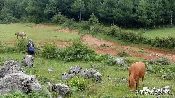 云南普者黑旅游攻略，云南省普者黑风景区旅游攻略（一处鲜为人知的神秘旅游景点——普者黑攻略）