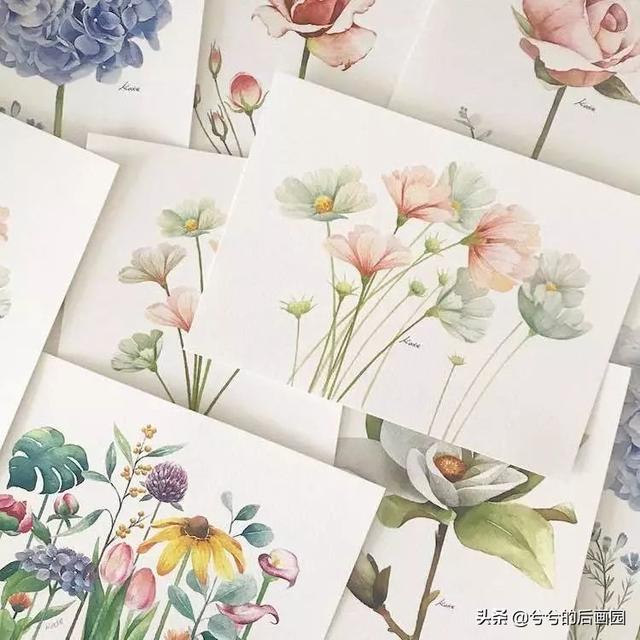 简单的花怎么画，玫瑰花画法（3个简单步骤教你画出一朵小花花）