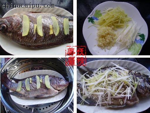 鲈鱼怎么保存新鲜，鲈鱼怎么存放保鲜（爱吃鱼的要保存好了）