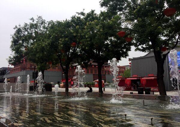 槐花什么时候开花，槐花几月开花（为啥曲江的槐花七月开）