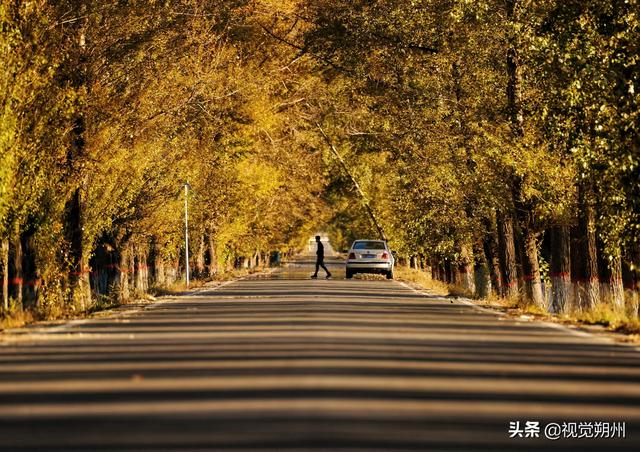 朔州旅游景点推荐，山西朔州旅游景点（国庆假期不出门）