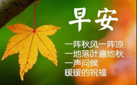结婚祝福语动态图片，恭喜结婚的祝福语动态图片（有的人是因为爱情）