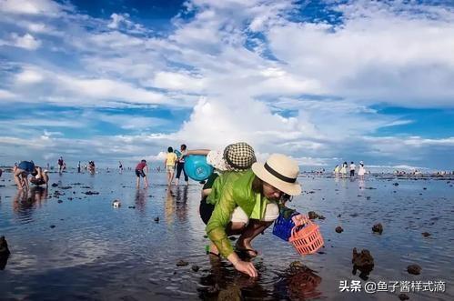 小耙子图片,又快到赶海的季节 - 玉三网