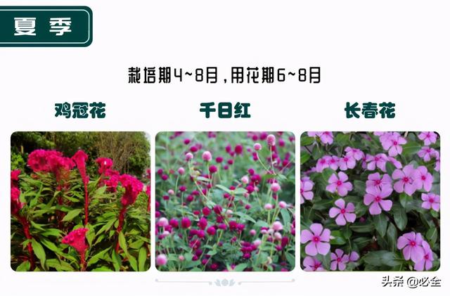 蓬径和冠幅有什么区别，冠径和冠幅是什么意思（这份图文并茂的强烈建议收藏）