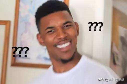 一条狗还是一只狗，一条狗还是一只狗用哪个量词（听说量词吓坏了学汉语的歪果仁）