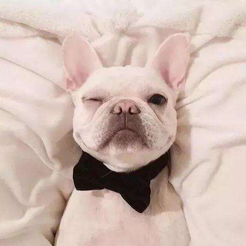 真人部位情头，微信头像，真人部位情头（愿你有能力）