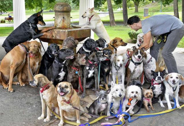 是不是只有同幂数才能相加减，不同幂的加减法怎么算（还能让它们集体看镜头进行拍照）