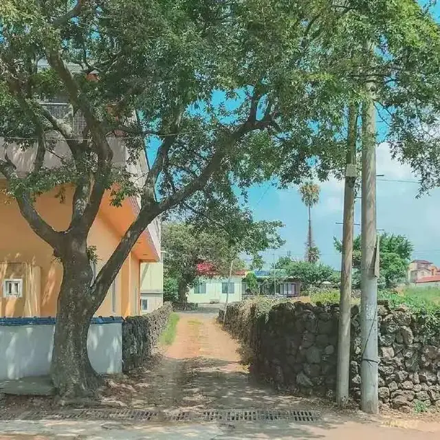 离开你我才发现自己那爱笑的眼睛，离开你我才发现自己那爱笑的眼睛歌词（那爱笑的眼睛。流过泪）