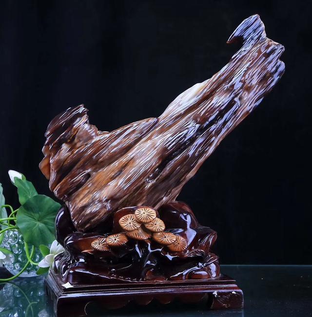 树化石值钱吗,树叶化石值多少钱(一块树化玉标价10亿)