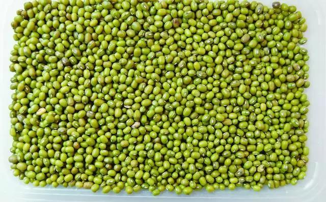 豆腐的做法大全家常，24种豆类杂粮大全（豆腐的做法大全家常）