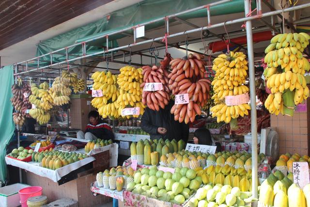 南方水果有哪些，南方水果有哪些品种图文（大多数北方人没见过）