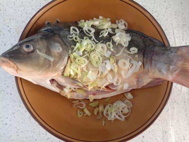 框镜鱼是什么鱼，鱼皮不破鱼肉不腥
