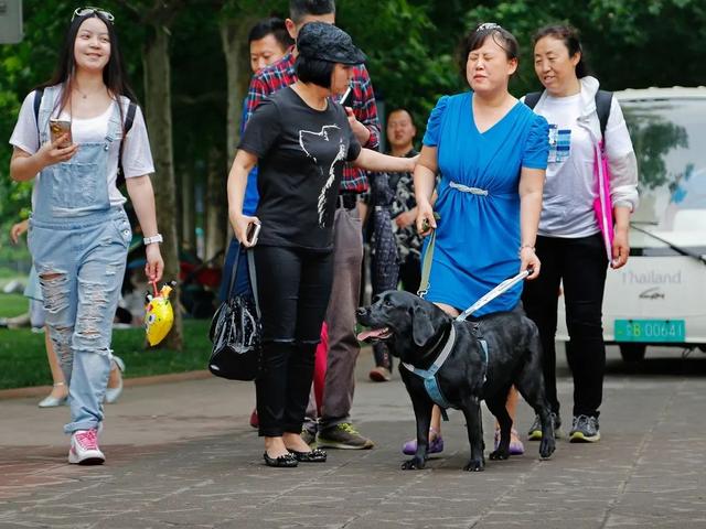 什么是文明鹭港，什么是文明鹭港校园（北京的文明鹭港体现在哪）