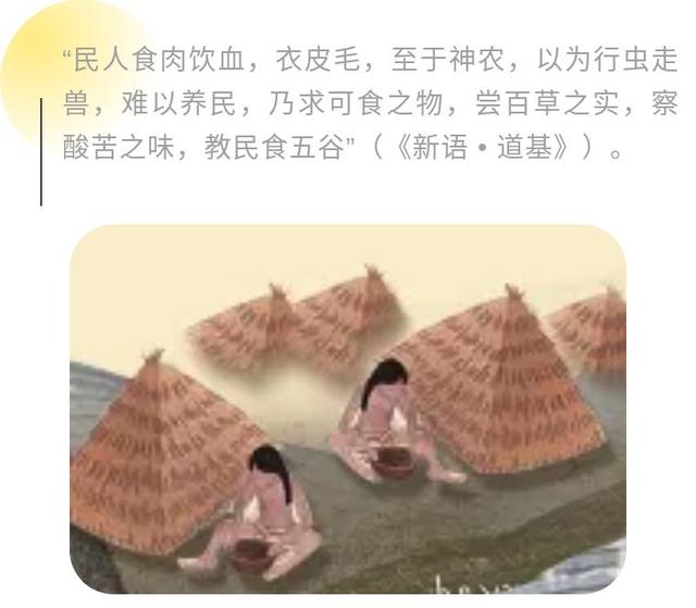 神农氏的故事，神农氏的故事全文（神农氏不为人知的故事）