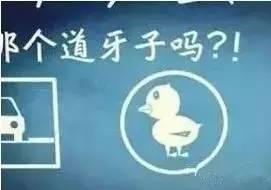 腼腆是什么意思，辽宁各地方言大PK（性格腼腆是什么意思）