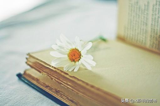 爱情名言哲理短句，名言名句爱情哲理（名人爱情名言哲理句子）