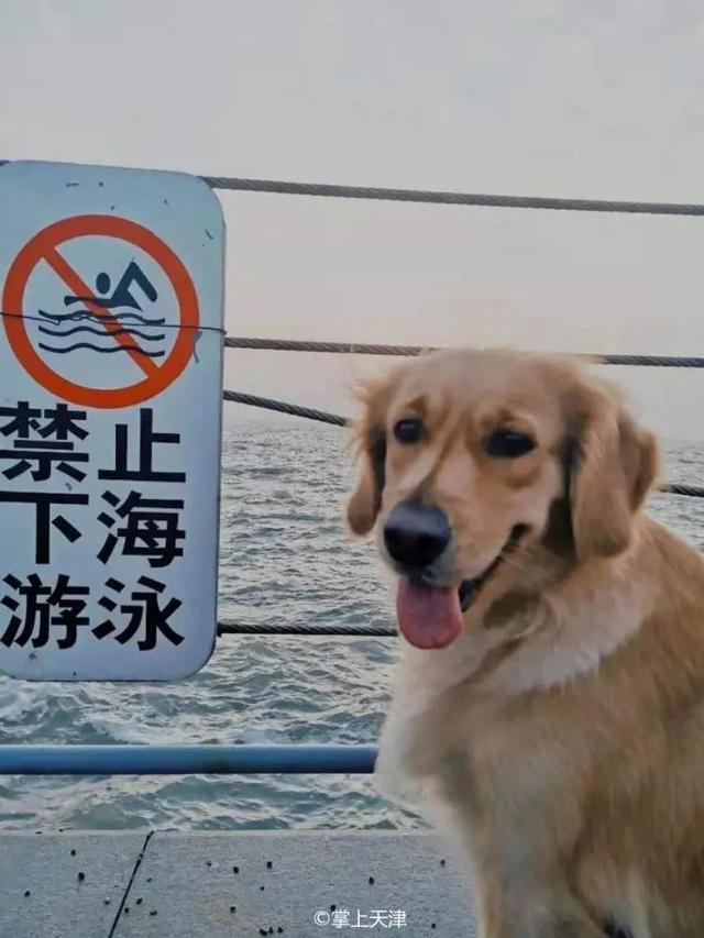 天津海边旅游景点排行榜，天津塘沽旅游景点大全（天津7处小众看海点，景色绝了）