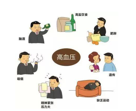 引起血压高的原因有哪些（影响血压高的原因）