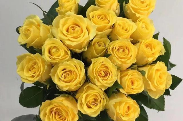 各种玫瑰花的含义，各色的玫瑰花有什么含意（一篇文章认全花店必备80种玫瑰花）