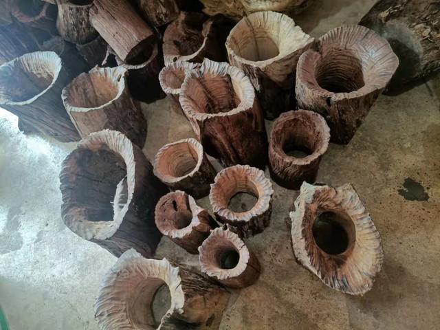 鹦鹉鱼可以跟什么鱼混养，什么鱼可以与鹦鹉鱼混养（迷你鹦鹉鱼能和什么鱼混养）