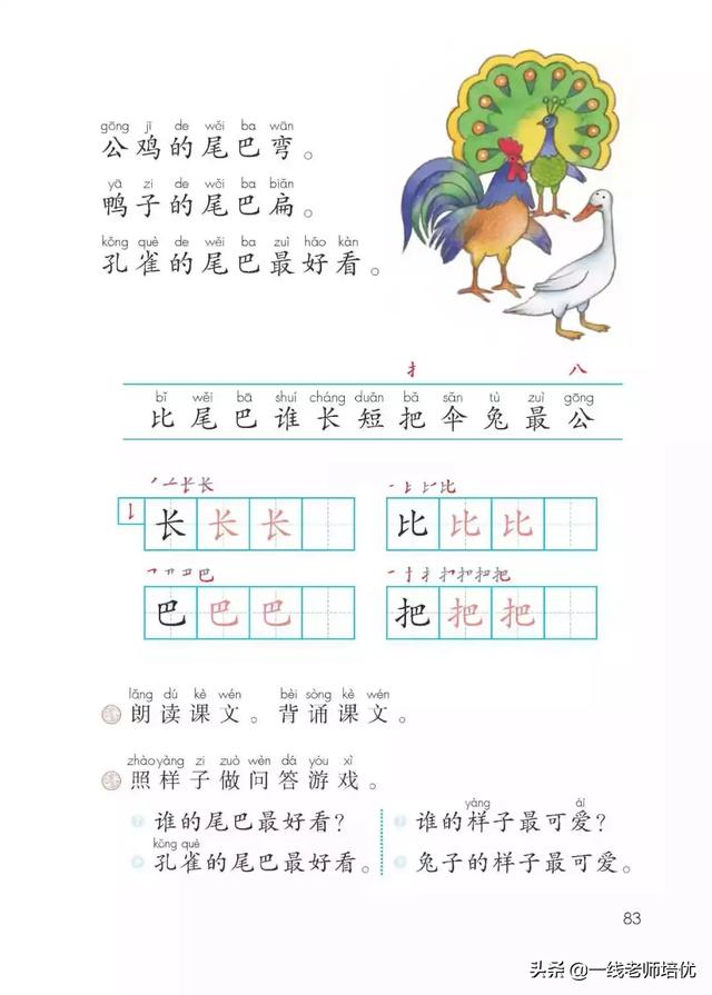 带有提手旁的字大多与什么有关，提手旁的字有哪些（部编版小学语文一年级上册第6课《比尾巴》重点知识+图文解读）