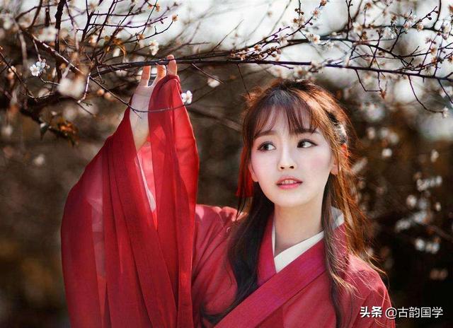 带有桃花的诗句，桃花的诗句唯美句子（36首桃花诗词）