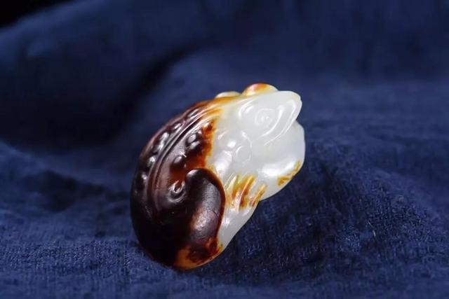 金蟾的寓意是什么，黑色金蟾的寓意是什么（如何在招财届里拥有一席之地）