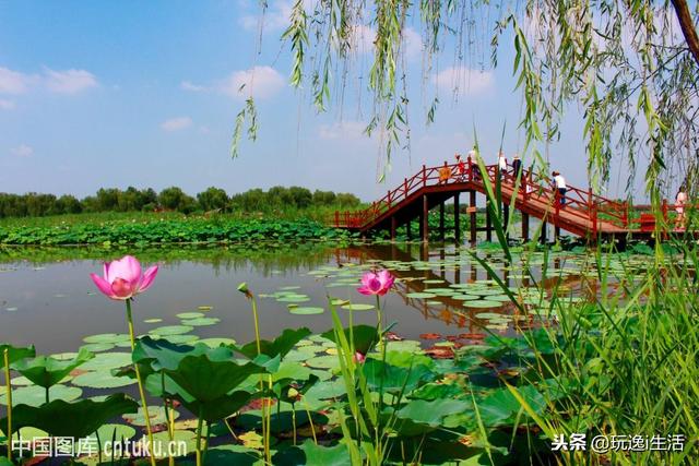 河北有什么好玩的，河北有什么特别好玩的旅游景点呢（河北省十大旅游景点）