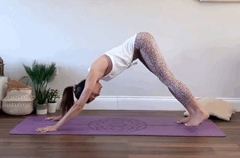 练瑜伽的姿势，练瑜伽的姿势图片（初学者练瑜伽不知道练什么）